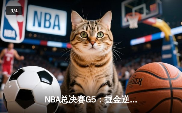 NBA总决赛G5：掘金逆转热火夺赛点，约基奇三双统治攻防 - 3